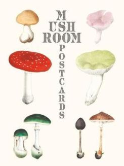 Mushroom Postcards