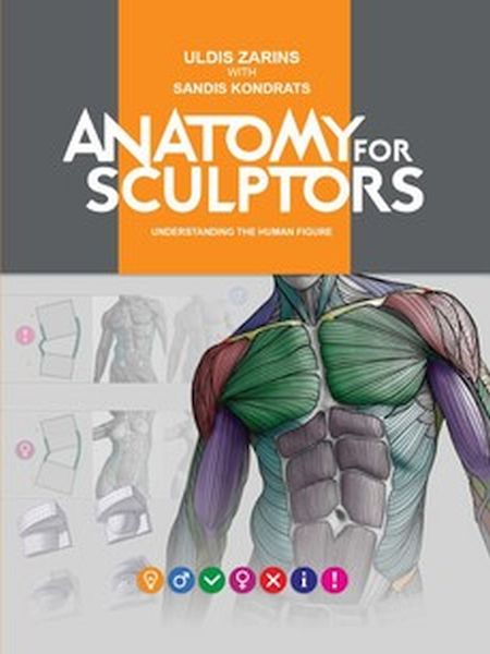 Anatomy For Sculptors, Understanding The Human Figure