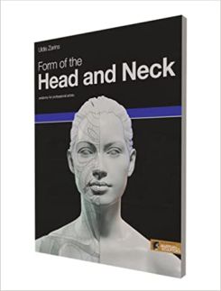 Form Of The Head And Neck