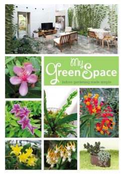 My Green Space: Indoor Gardening Made Simple